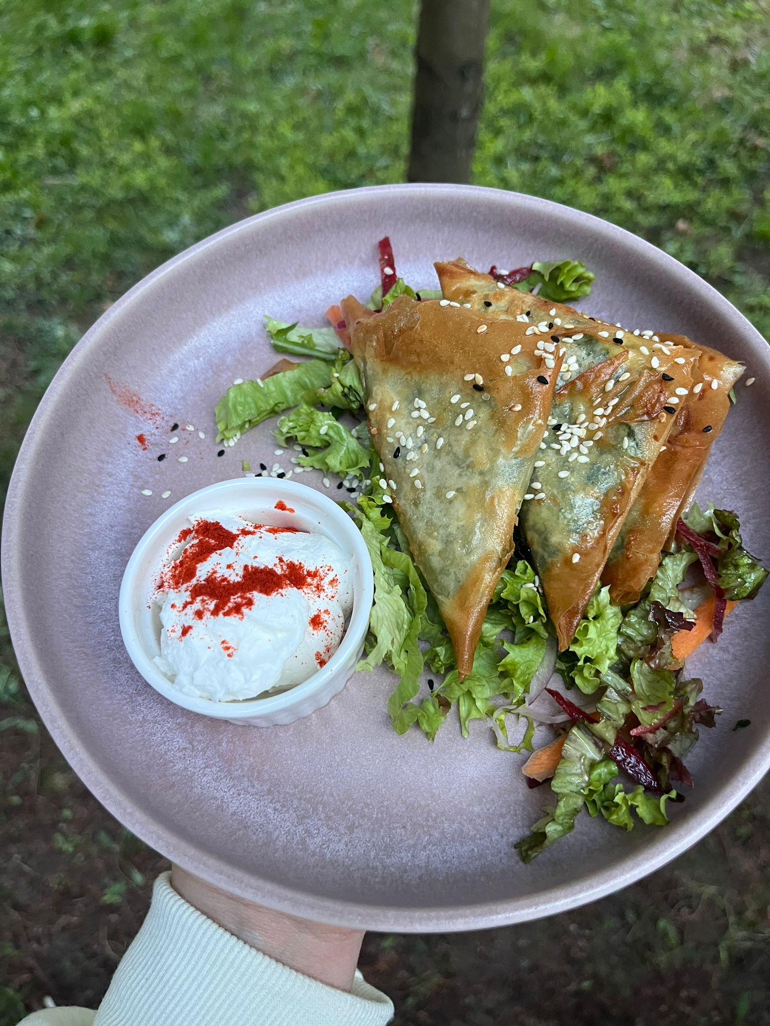 Spanakopita